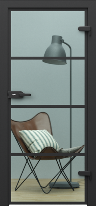 PORTA GLASS – model 2, sticlă transparentă cu profile vopsite